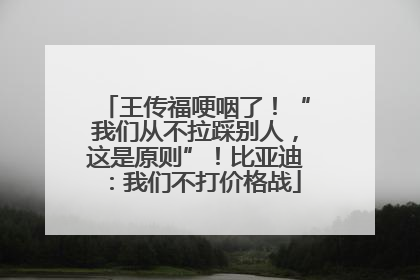 王传福哽咽了！“我们从不拉踩别人，这是原则”！比亚迪：我们不打价格战