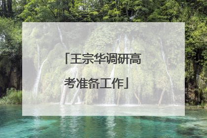 王宗华调研高考准备工作