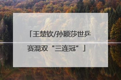 王楚钦/孙颖莎世乒赛混双“三连冠”