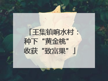 王集镇响水村：种下“黄金桃” 收获“致富果”