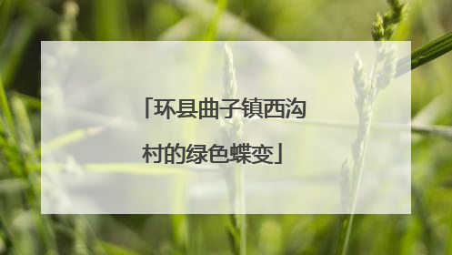 环县曲子镇西沟村的绿色蝶变