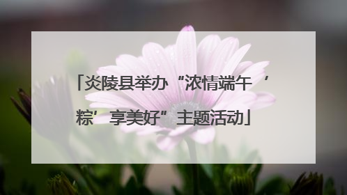 炎陵县举办“浓情端午‘粽’享美好”主题活动
