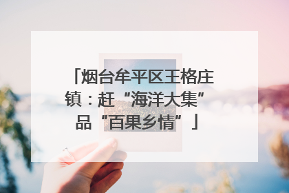 烟台牟平区王格庄镇：赶“海洋大集” 品“百果乡情”