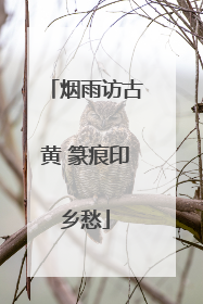 烟雨访古黄 篆痕印乡愁