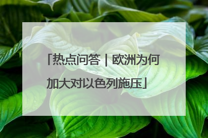 热点问答｜欧洲为何加大对以色列施压