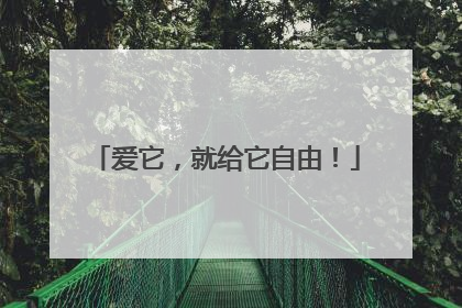爱它，就给它自由！
