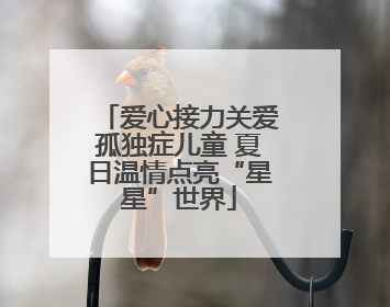 爱心接力关爱孤独症儿童 夏日温情点亮“星星”世界