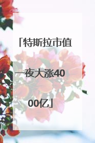 特斯拉市值一夜大涨4000亿