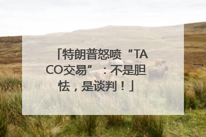 特朗普怒喷“TACO交易”：不是胆怯，是谈判！