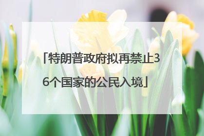 特朗普政府拟再禁止36个国家的公民入境