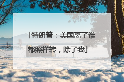 特朗普：美国离了谁都照样转，除了我