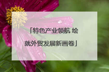 特色产业领航 绘就外贸发展新画卷