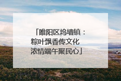 睢阳区坞墙镇：粽叶飘香传文化 浓情端午聚民心