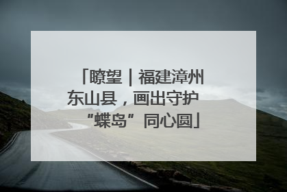 瞭望｜福建漳州东山县，画出守护“蝶岛”同心圆