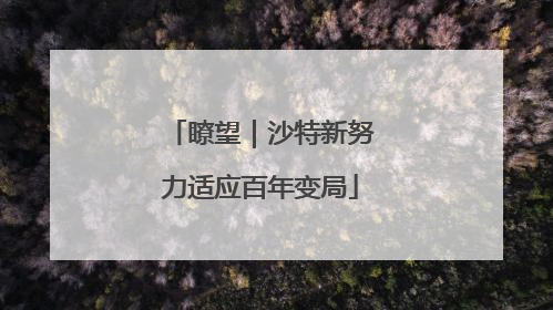 瞭望｜沙特新努力适应百年变局
