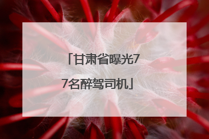 甘肃省曝光77名醉驾司机