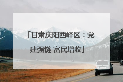 甘肃庆阳西峰区：党建强链 富民增收