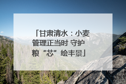 甘肃清水：小麦管理正当时 守护粮“芯”绘丰景