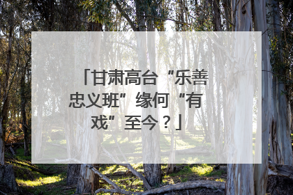 甘肃高台“乐善忠义班”缘何“有戏”至今？