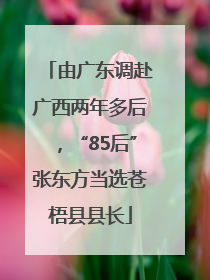 由广东调赴广西两年多后，“85后”张东方当选苍梧县县长