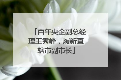 百年央企副总经理王秀峰，履新直辖市副市长