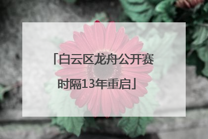 白云区龙舟公开赛时隔13年重启