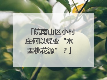 皖南山区小村庄何以蝶变“水墨桃花源”？