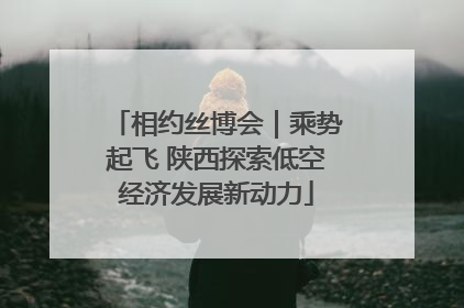相约丝博会｜乘势起飞 陕西探索低空经济发展新动力