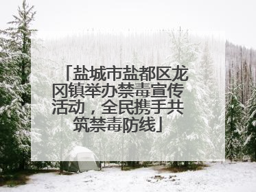 盐城市盐都区龙冈镇举办禁毒宣传活动，全民携手共筑禁毒防线