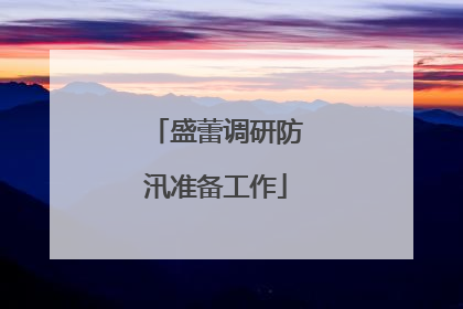 盛蕾调研防汛准备工作