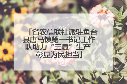 省农信联社派驻鱼台县唐马镇第一书记工作队助力“三夏”生产 彰显为民担当
