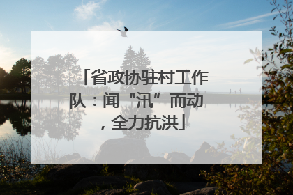 省政协驻村工作队：闻“汛”而动，全力抗洪