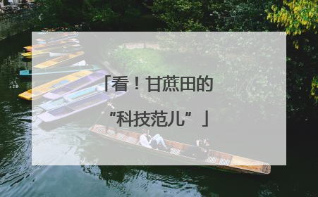 看！甘蔗田的“科技范儿”