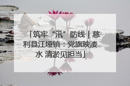 筑牢“汛”防线｜慈利县江垭镇：党旗映溇水 清淤见担当