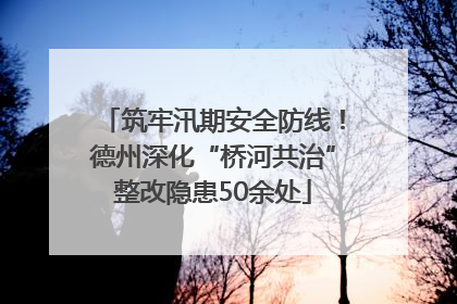 筑牢汛期安全防线！德州深化“桥河共治”整改隐患50余处