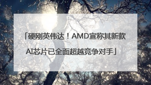 硬刚英伟达！AMD宣称其新款AI芯片已全面超越竞争对手