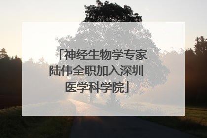 神经生物学专家陆伟全职加入深圳医学科学院