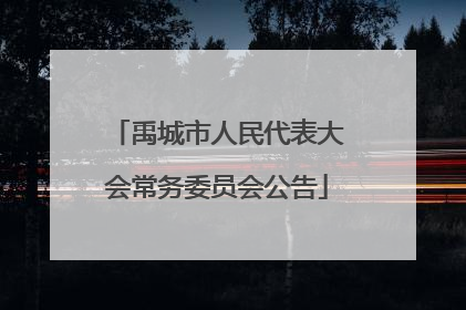 禹城市人民代表大会常务委员会公告