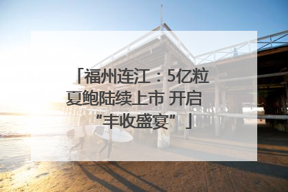 福州连江：5亿粒夏鲍陆续上市 开启“丰收盛宴”