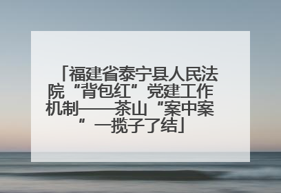 福建省泰宁县人民法院“背包红”党建工作机制——茶山“案中案”一揽子了结