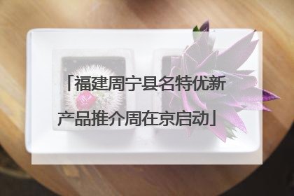 福建周宁县名特优新产品推介周在京启动