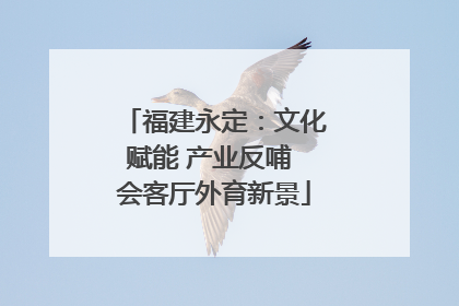 福建永定：文化赋能 产业反哺 会客厅外育新景