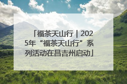 福茶天山行｜2025年“福茶天山行”系列活动在昌吉州启动