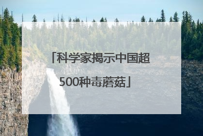 科学家揭示中国超500种毒蘑菇