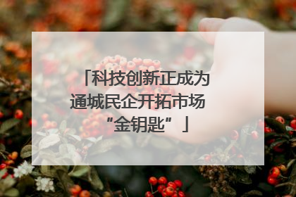 科技创新正成为通城民企开拓市场“金钥匙”