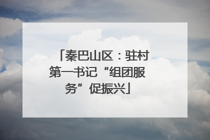 秦巴山区：驻村第一书记“组团服务”促振兴