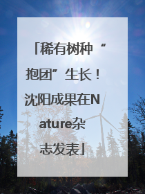 稀有树种“抱团”生长！沈阳成果在Nature杂志发表