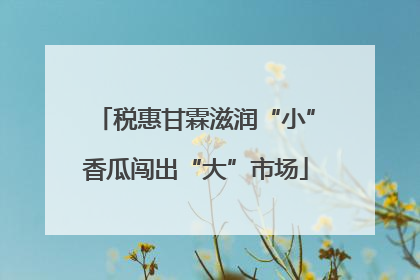 税惠甘霖滋润“小”香瓜闯出“大”市场