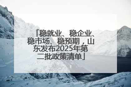 稳就业、稳企业、稳市场、稳预期，山东发布2025年第二批政策清单