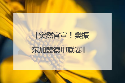 突然官宣！樊振东加盟德甲联赛